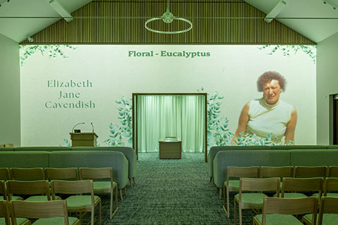 Eucalyptus Projection Image