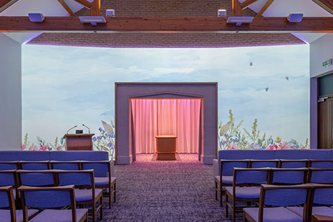 Floral Projection Image