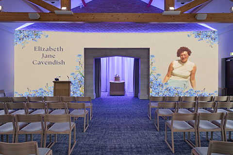 Forget-me-nots Projection Image