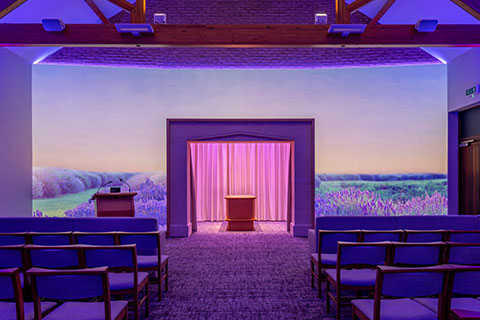 Lavender Field Projection Image